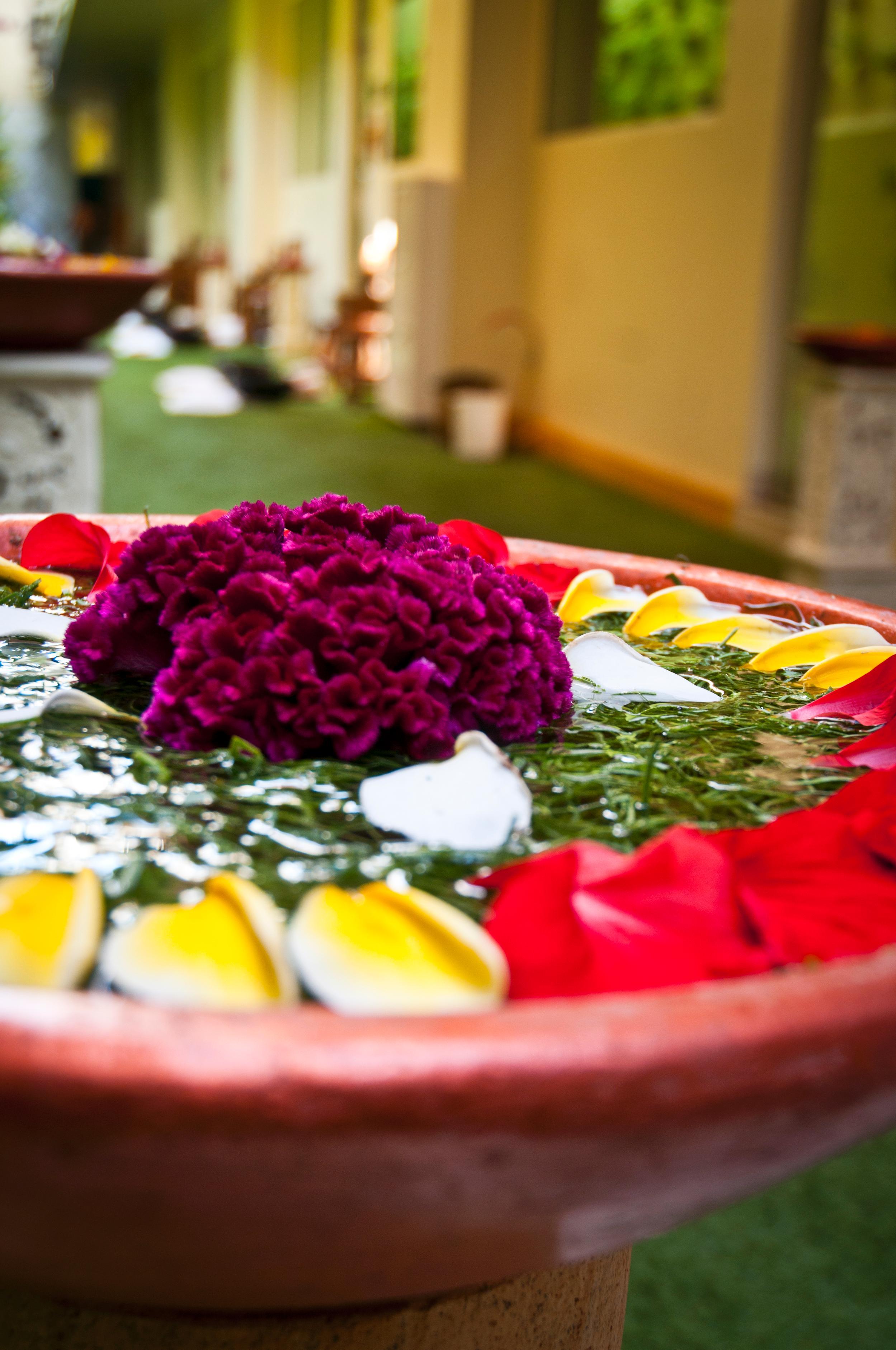 Febri'S Hotel & Spa Kuta Lombok Eksteriør bilde